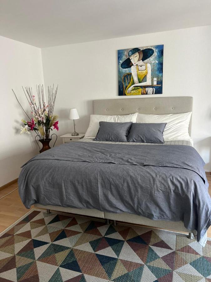 Schweiz Apartman Bázel Kültér fotó